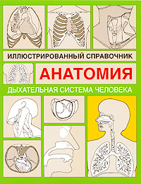 Анатомия Иллюстрированный справочник Дыxательная система человека Издательства: АСТ, Астрель, 2009 г Мягкая обложка, 112 стр ISBN 978-5-17-053279-7, 978-5-271-20897-3, 0-8160-5979-9 Тираж: 3000 экз Формат: 70x90/16 (~170х215 мм) инфо 6267e.