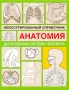 Анатомия Иллюстрированный справочник Дыxательная система человека Издательства: АСТ, Астрель, 2009 г Мягкая обложка, 112 стр ISBN 978-5-17-053279-7, 978-5-271-20897-3, 0-8160-5979-9 Тираж: 3000 экз Формат: 70x90/16 (~170х215 мм) инфо 6267e.