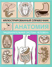 Анатомия Иллюстрированный справочник Пищеварительная система человека Издательства: АСТ, Астрель, 2009 г Мягкая обложка, 112 стр ISBN 978-5-17-053277-3, 978-5-271-21034-1, 0-8160-5979-9 инфо 6269e.