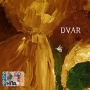Dvar (mp3) Серия: MP3 Collection инфо 9714f.