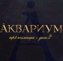 Аквариум Mp3 коллекция Диск 2 Серия: MP3 коллекция инфо 9790f.
